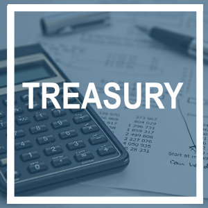 treasury-webseite